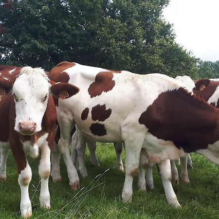 Gite A La Ferme, Avec Animaux, Fromages Et Nature Neuville-les-Decize Eksteriør bilde